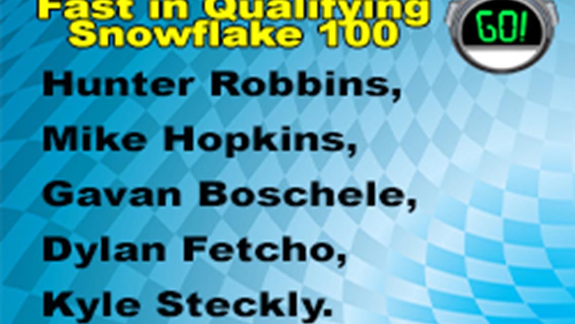 Robbins On Snowflake Pole