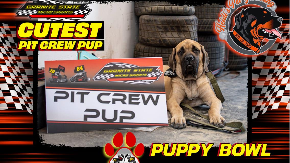 Zoomie Rookies Dominate Puppy Bowl at Legion Speedway!