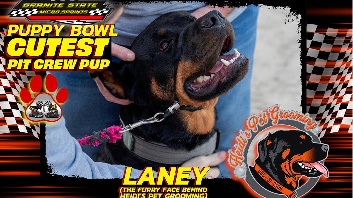 Zoomie Rookies Dominate Puppy Bowl at Legion Speedway!
