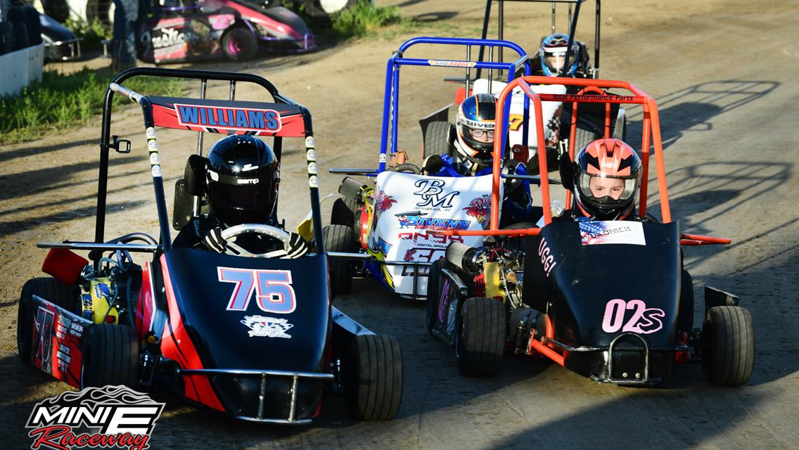 MINI DRIVER APPRECIATION presented by Fast Glass &amp; Nick&#39;s Lawncare