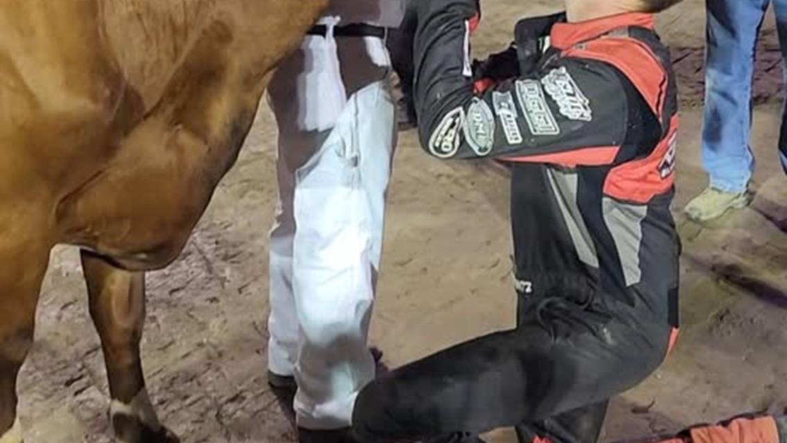Mintz kisses the cow for 305 Fremont Speedway fair race win
