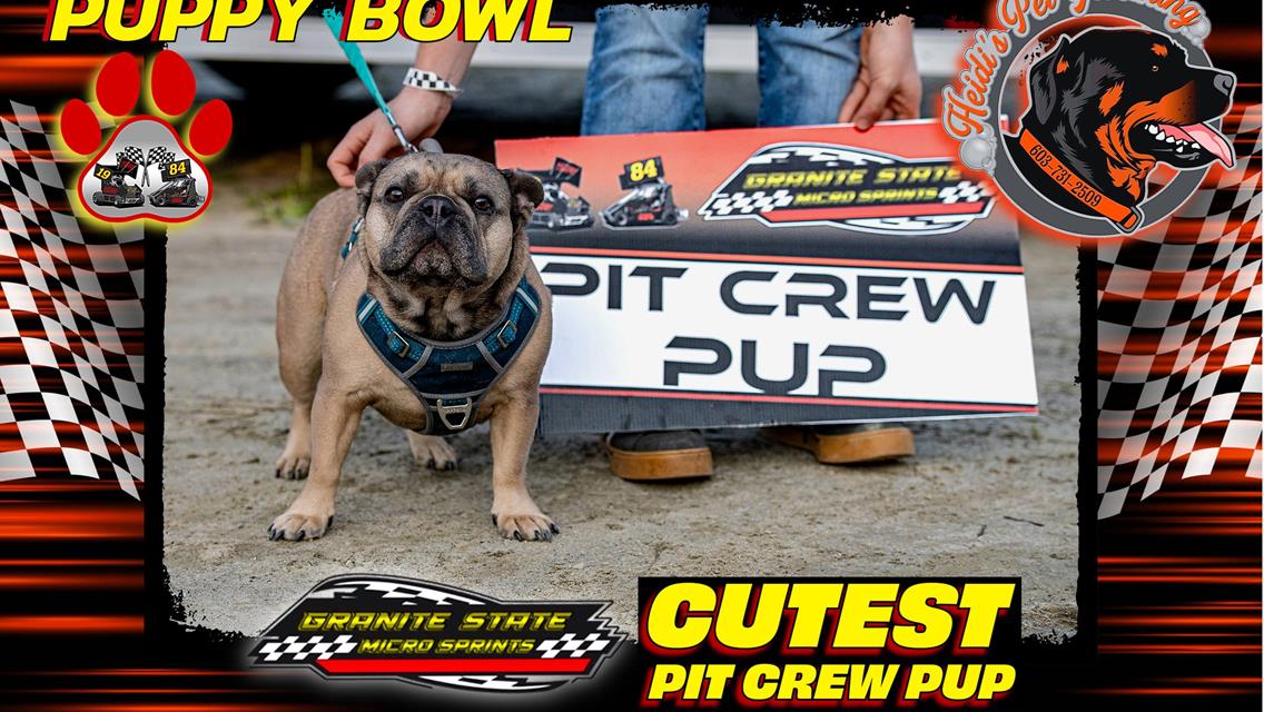 Zoomie Rookies Dominate Puppy Bowl at Legion Speedway!