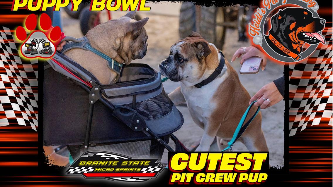Zoomie Rookies Dominate Puppy Bowl at Legion Speedway!