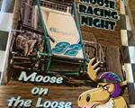 What In The Heck Is Moose Night?