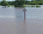 Rain, Flood Cancels Father’s Day Race