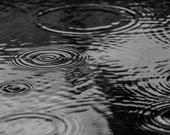 Macon Speedway Opening Test Canceled