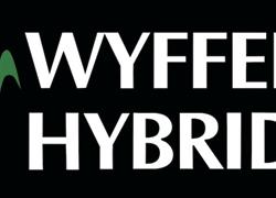 US Farm Family Owned, Wyffels Hybr