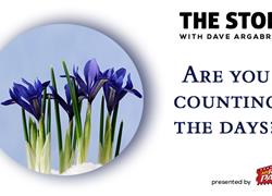 Are You Counting The Days?