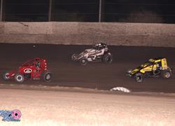 Hunt Series, Hobby Stocks Headline