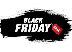 BAPS Black Friday Weekend (Nov 28-