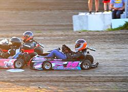 MINI FAN APPRECIATION presented by C&L Automotive & Empire Fence -Fri, July 11th