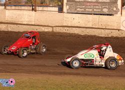 Sport Modifieds Return, Wingless S