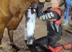 Mintz kisses the cow for 305 Fremo