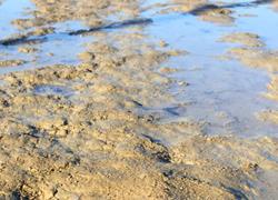 SATURATED SURFACE POSTPONES ALL ST