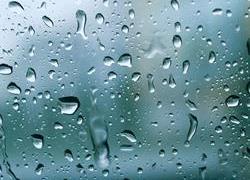 Persistent rain, forecast forces c