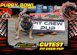 Zoomie Rookies Dominate Puppy Bowl
