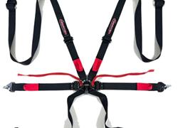 NecksGen Camlock 6 Point Racing Ha