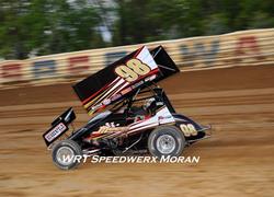 Trenca Attempting Williams Grove,