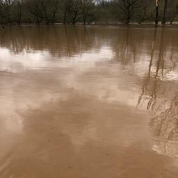 TYLER COUNTY SPEEDWAY REGRETTABLY CANCELS SEASON OPENER ONCE AGAIN DUE TO INCLEMENT WEATHER