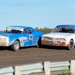 CAUTIONS PLAGUE HOBBY STOCK FEATURE