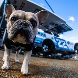 Hagerstown Speedway (Hagerstown, MD) – Lucas Oil Late Model Dirt Series – Conococheague 50 – April 9th 2022. (Heath Lawson photo)