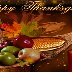 HAPPY THANKSGIVING FROM THE DIS FAMILY AND STAFF