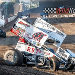 Dominic Scelzi Opens Trophy Cup With Podium Before Ending 11th in Points