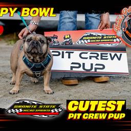 Zoomie Rookies Dominate Puppy Bowl at Legion Speedway!
