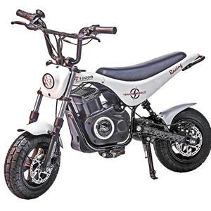 Electric Mini Bike, TT1000R Lithium Ion Powered