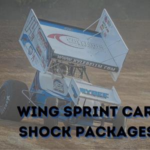 4.1 Twin Tube Single Winged Sprint Car Shock Package