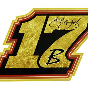 17B Gold Leaf Decal