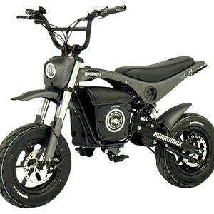 Electric Sportsman Bike, HRH Model, 3.5kw Rated, 6kw Peak, 52V Lithium Ion Powered