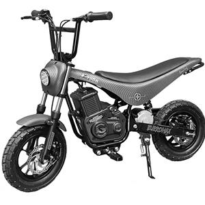 Electric Mini Bike, TT750R Lithium Ion Powered