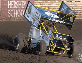 Brandon Wimmer
