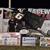 Zane DeVault Caps Weekend with Second Win and $5,000 Fall Haul; Ryan Bunton is Sprint Invaders Champ