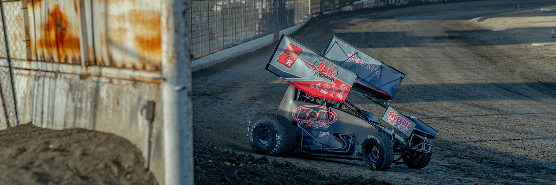 Ryan Rocha