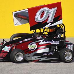 Logan Chapman