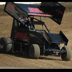 Bree Arnold