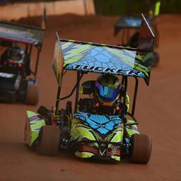 Wyatt Tucker