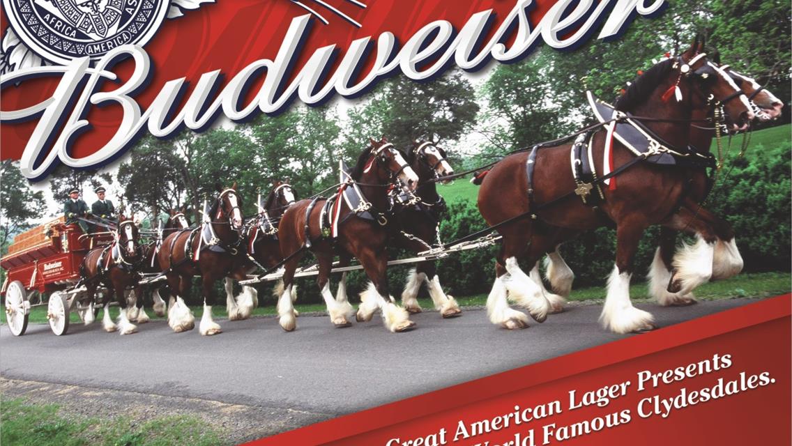 Maletis Beverage and Budweiser Partner Up For the “2015 Sunset Season”