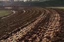 Red Clay Reborn