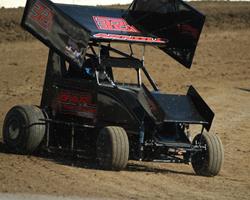 Bree Arnold 