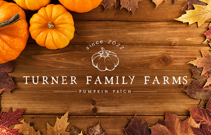 Pumpkin Patch